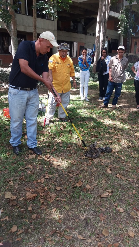 foto -curso basico de ofidiologia 2