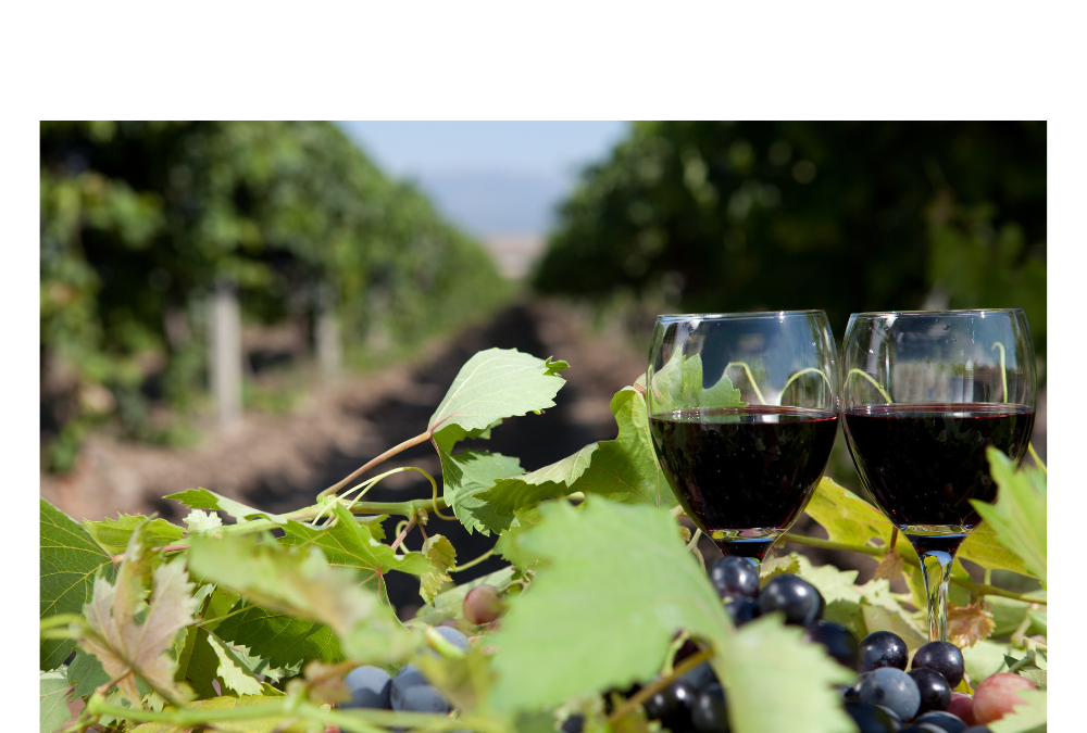 Cultura del Vino y Spirits. Nivel II