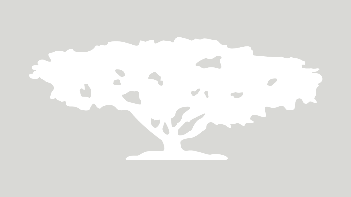 UNIMET_SAMAN_VP_nm_gris_rgb
