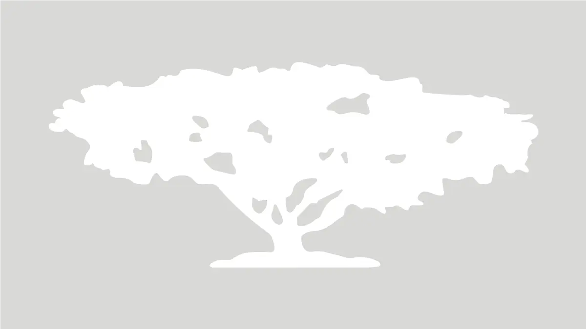 UNIMET_SAMAN_VP_nm_gris_rgb