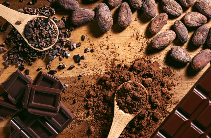 Diplomado de Cacao, Chocolates y Sommellerie