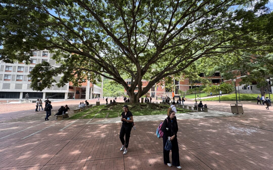 UNIMET reafirma su prestigio en reputación entre empleadores y empleabilidad según el QS World University Ranking 2026